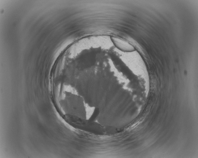 X0000068301095200605191937