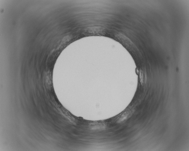 X0000068301107200605191936