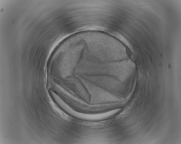 X0000068301132200605191936