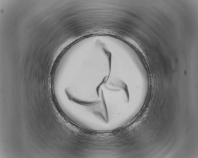 X0000068301133200605191936