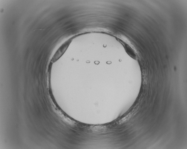 X0000068301140200605191937