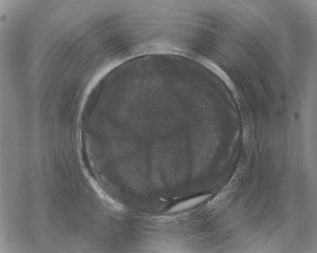 X0000068301144200605191937