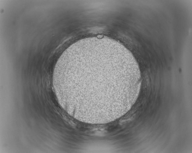 X0000068301158200605191936