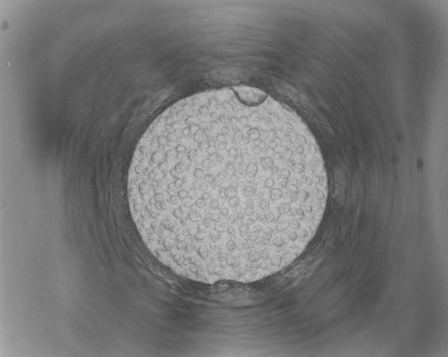 X0000068301201200605191934