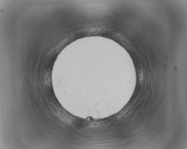 X0000068301204200605191934