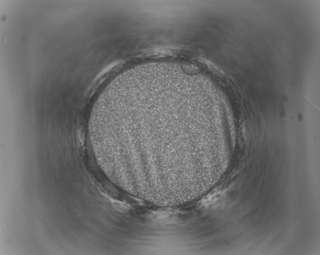 X0000068301206200605191934