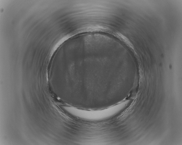 X0000068301226200605191935