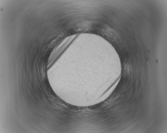 X0000068301250200605191934