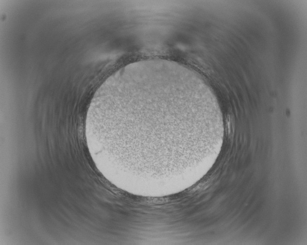X0000068301251200605191934