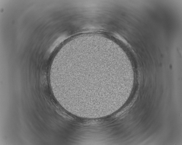 X0000068301259200605191934