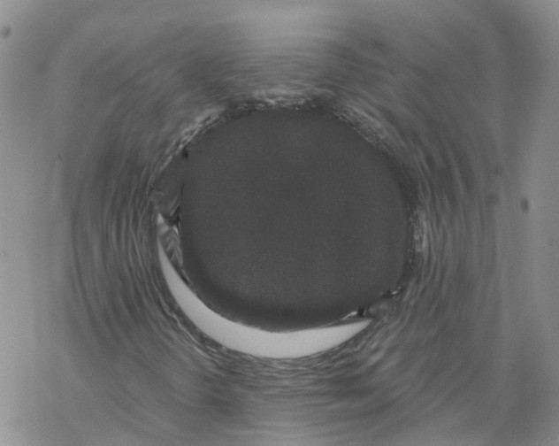X0000068301298200605191933