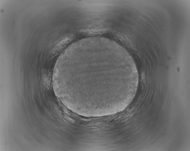 X0000068301300200605191933