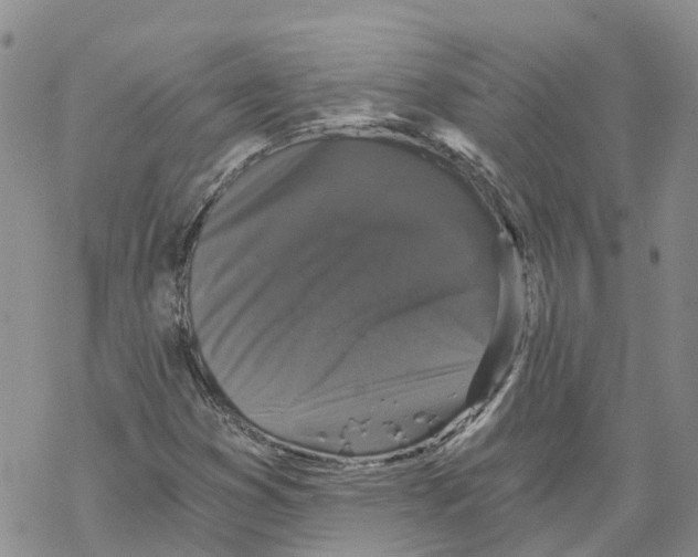 X0000068301353200605191933