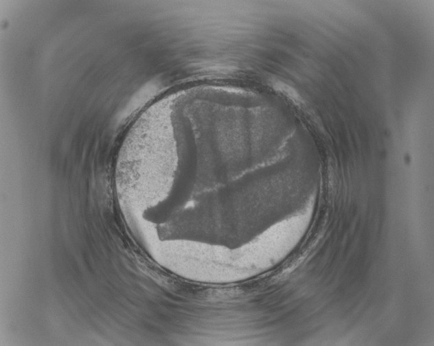 X0000068301354200605191933