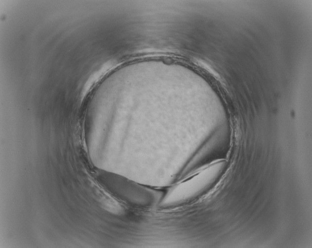 X0000068301357200605191933