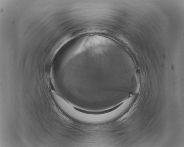 X0000068301369200605191932
