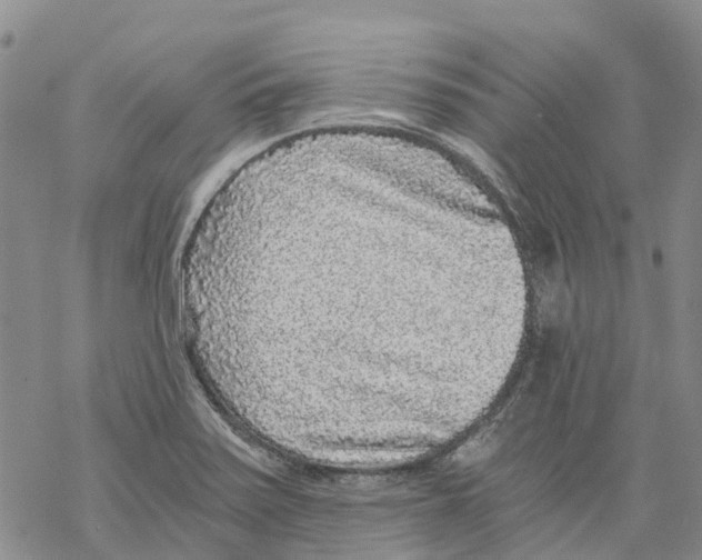 X0000068301371200605191932