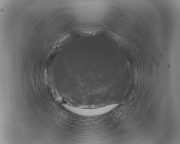 X0000068301394200605191931