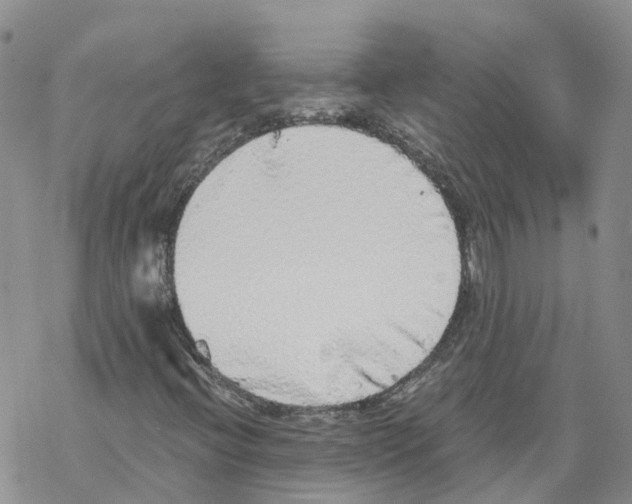 X0000068301396200605191931
