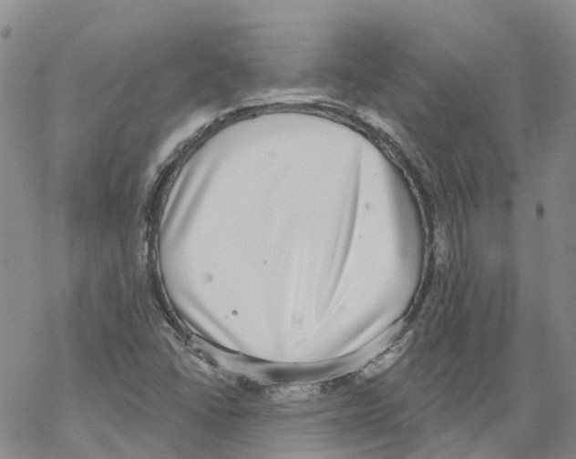 X0000068301406200605191932