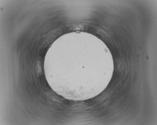 X0000068301442200605191931
