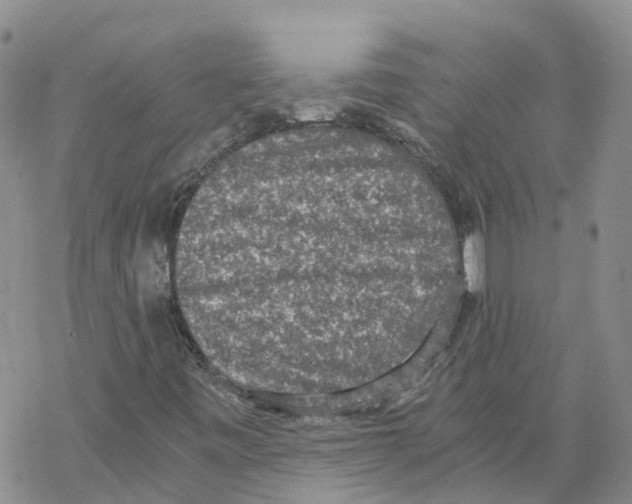 X0000068301443200605191931