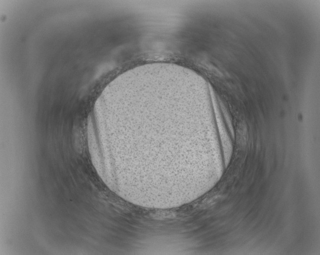 X0000068301446200605191931