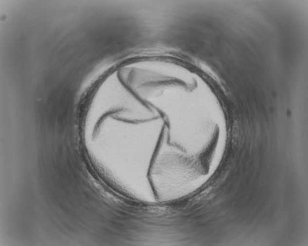 X0000068301456200605191931