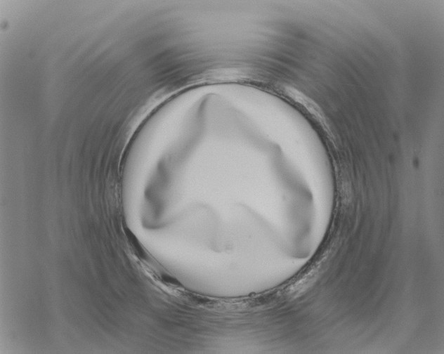 X0000068301473200605191931