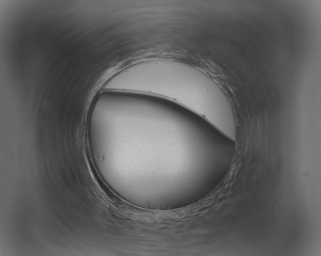 X0000068310003200604211049