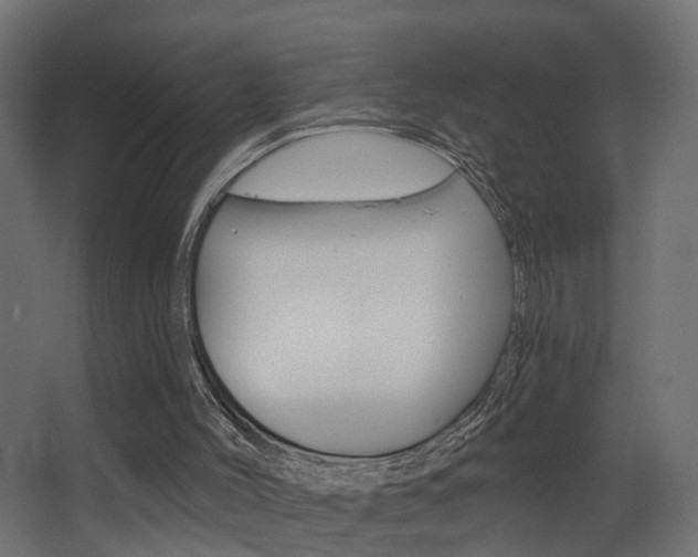 X0000068310004200604211049