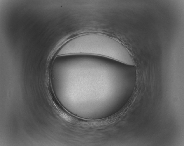 X0000068310005200604211048