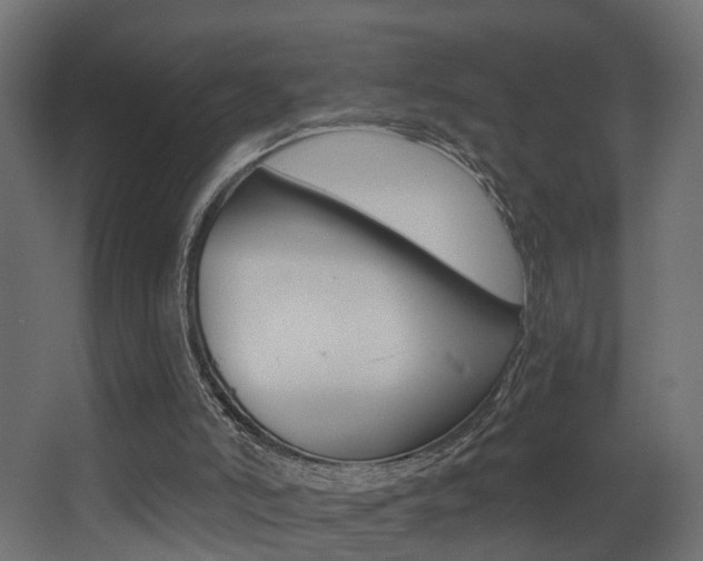 X0000068310006200604211048