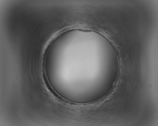 X0000068310007200604211048