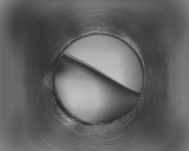 X0000068310009200604211048
