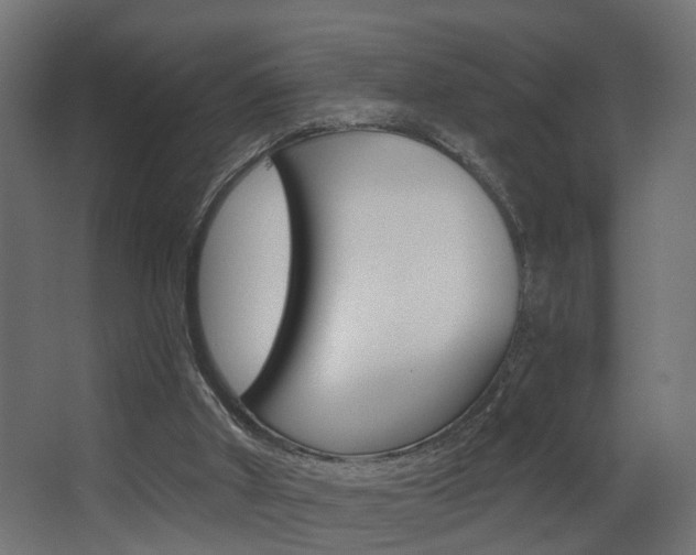 X0000068310010200604211048