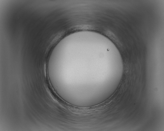 X0000068310014200604211048