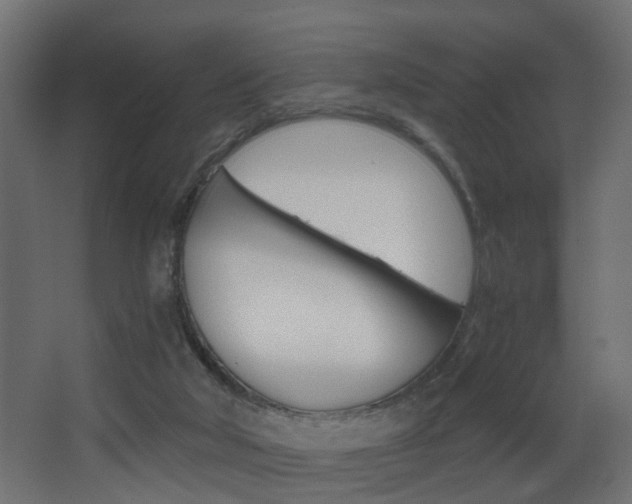 X0000068310018200604211048