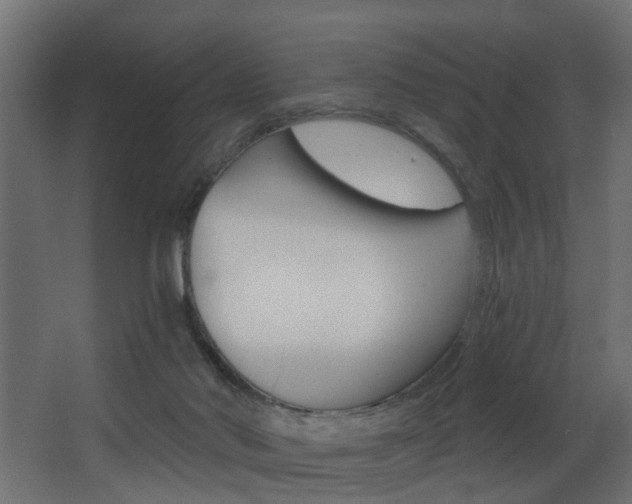 X0000068310022200604211048