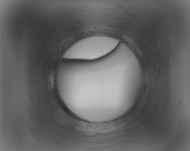 X0000068310026200604211048