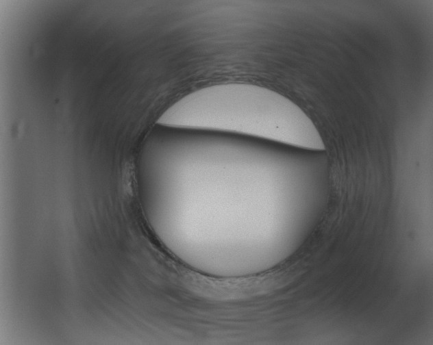 X0000068310038200604211048