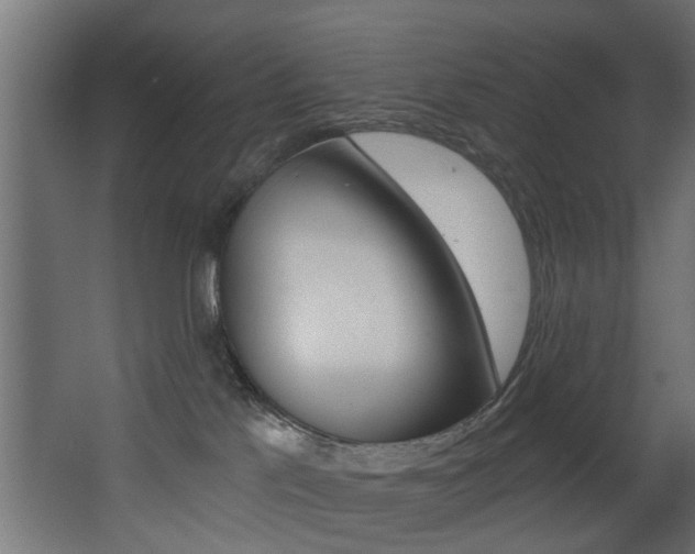 X0000068310041200604211048