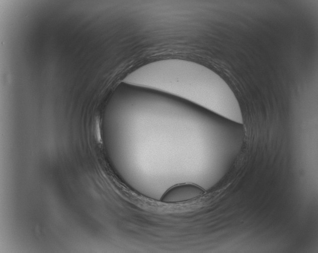 X0000068310046200604211048