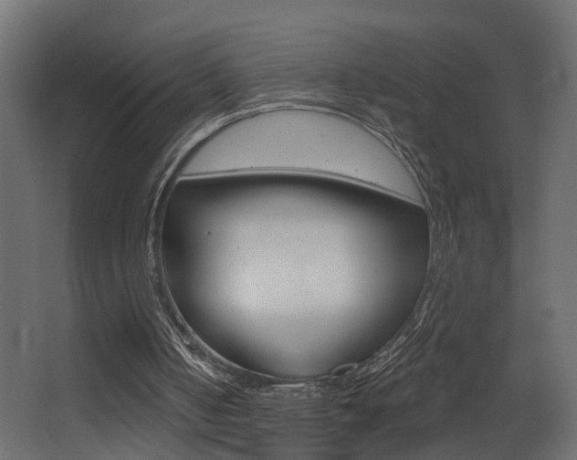 X0000068310050200604211047