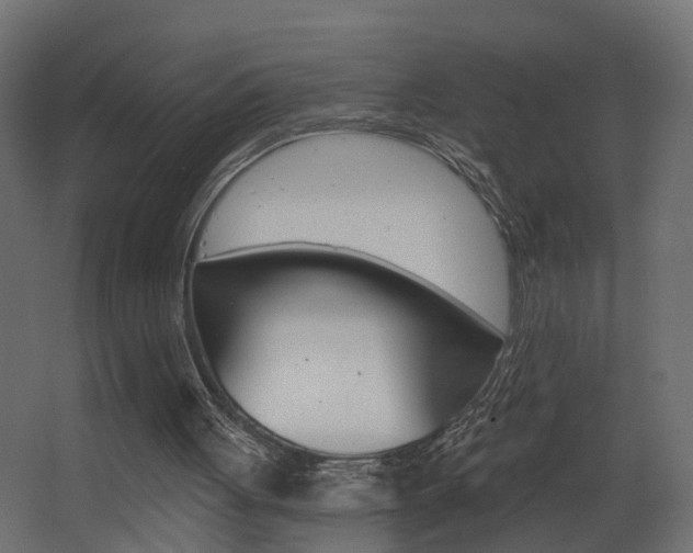 X0000068310051200604211047