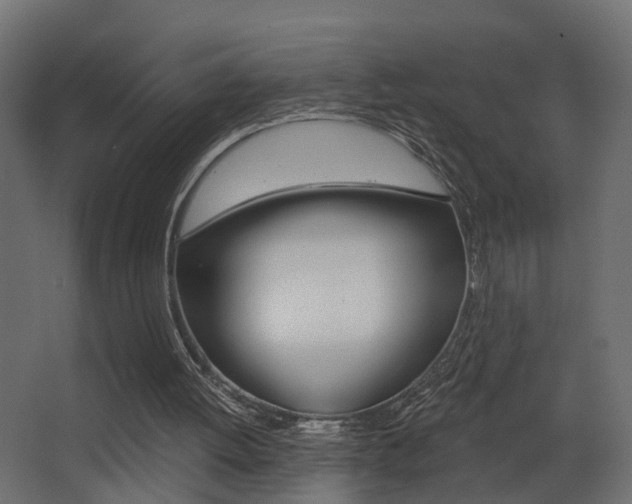 X0000068310052200604211047