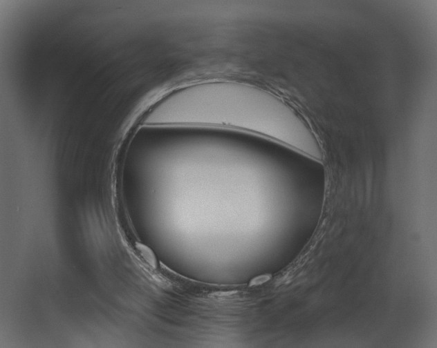 X0000068310054200604211047