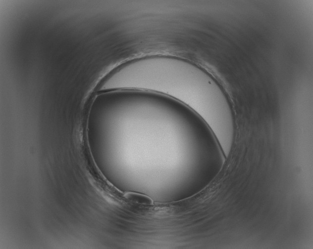 X0000068310060200604211047