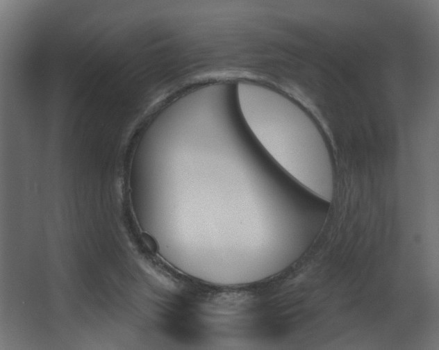 X0000068310063200604211047