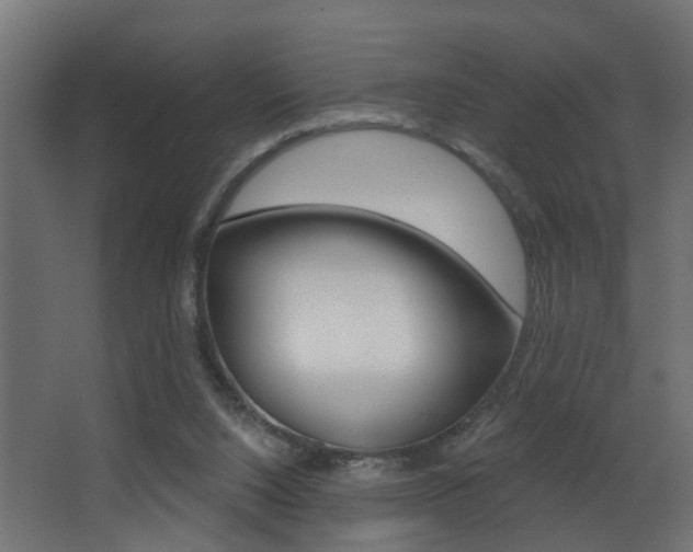 X0000068310064200604211047